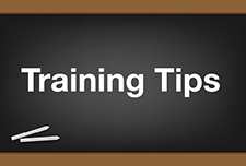 Training Tips_225x152